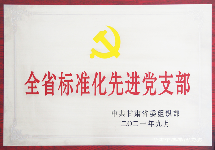 中集理想國(guó)際寫字樓聯(lián)合黨支部榮獲“全省標(biāo)準(zhǔn)化先進(jìn)黨支部”榮譽(yù)稱號(hào)